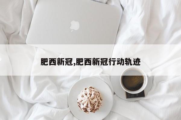 肥西新冠,肥西新冠行动轨迹