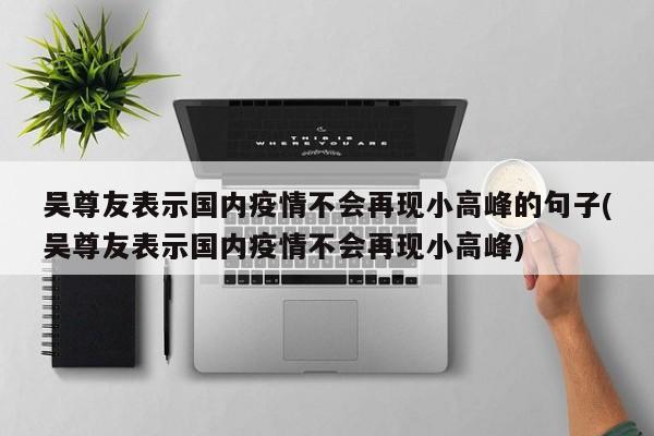吴尊友表示国内疫情不会再现小高峰的句子(吴尊友表示国内疫情不会再现小高峰)