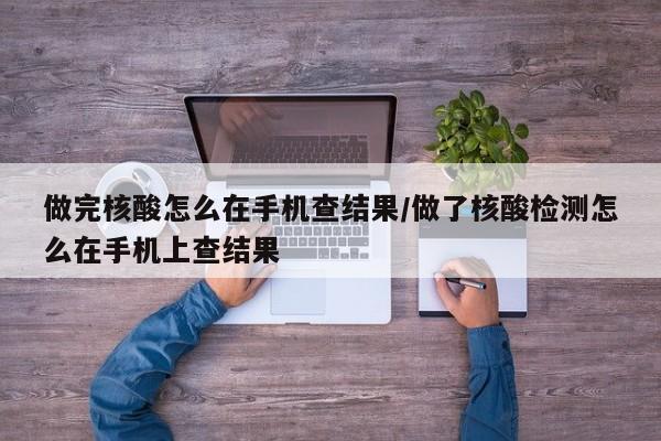 做完核酸怎么在手机查结果/做了核酸检测怎么在手机上查结果